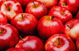 باغداران سیب در خطر ورشکستگی / ۶۵۰ هزار تن سیب آذربایجان غربی در آستانه فاسد شدن