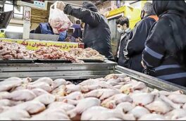 آرامش و ثبات در بازار مرغ ارومیه حکمفرماست